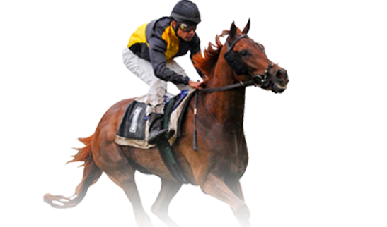 horsebook 78win